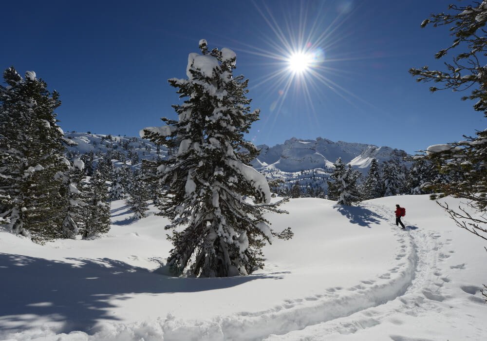 Sulle piste di sci e di fondo - Godetevi la vacanza sugli sci a San Vigilio